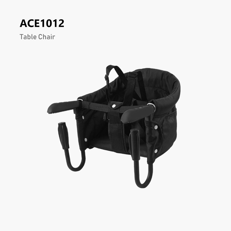 ACE1012