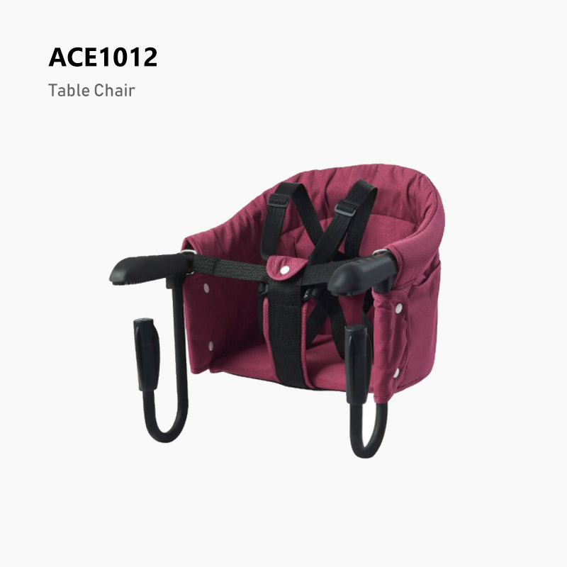 ACE1012