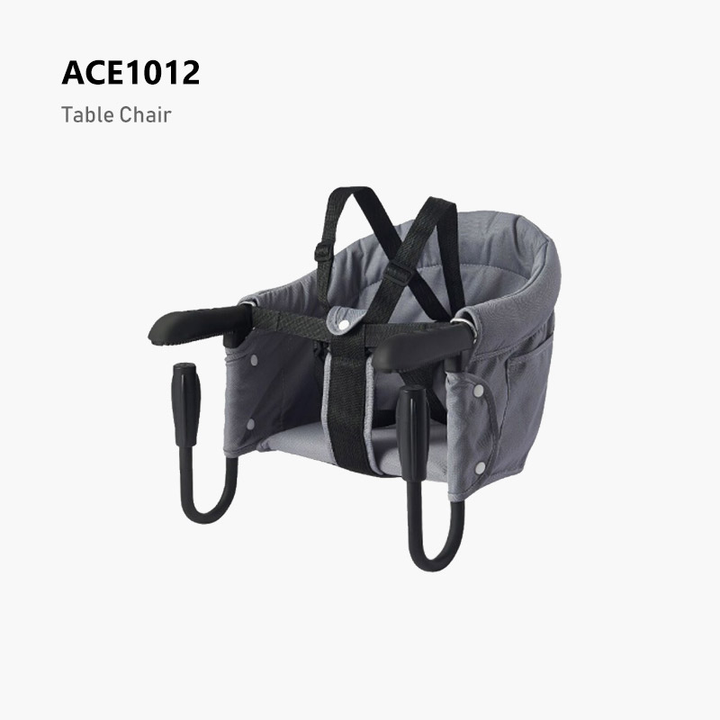 ACE1012
