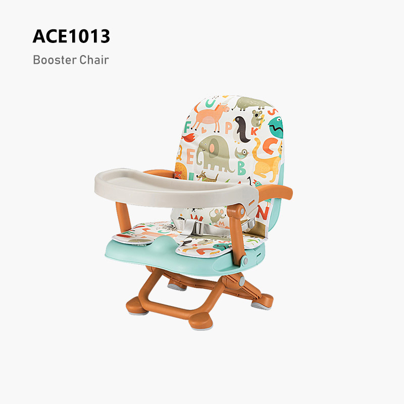 ACE1013