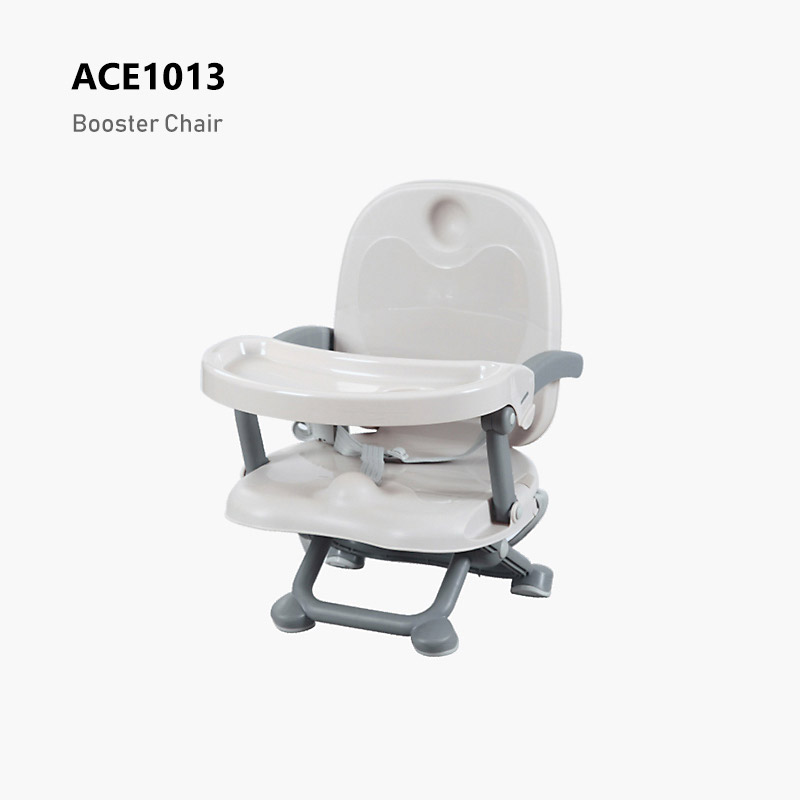 ACE1013