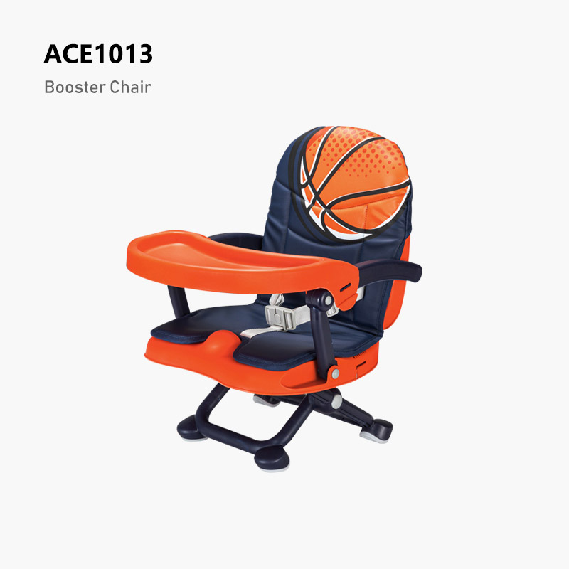 ACE1013