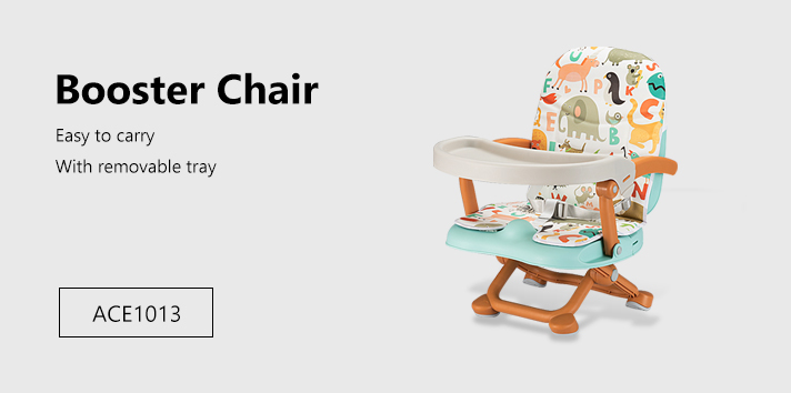 Booster chair