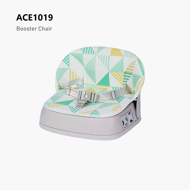 ACE1019
