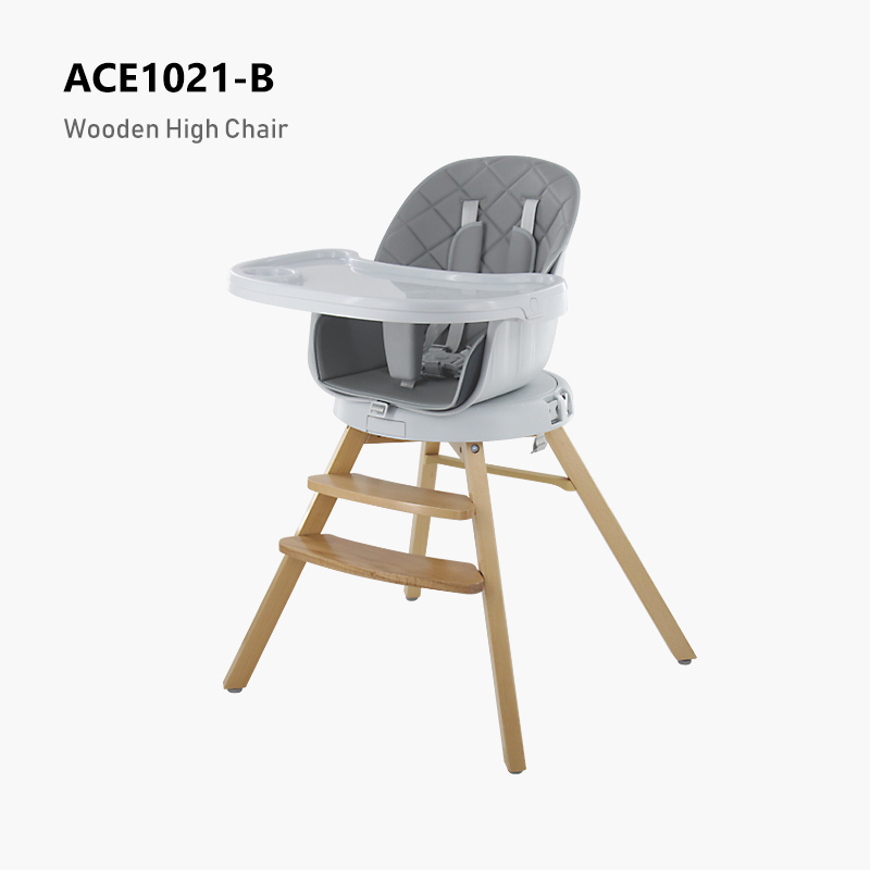ACE1021-B