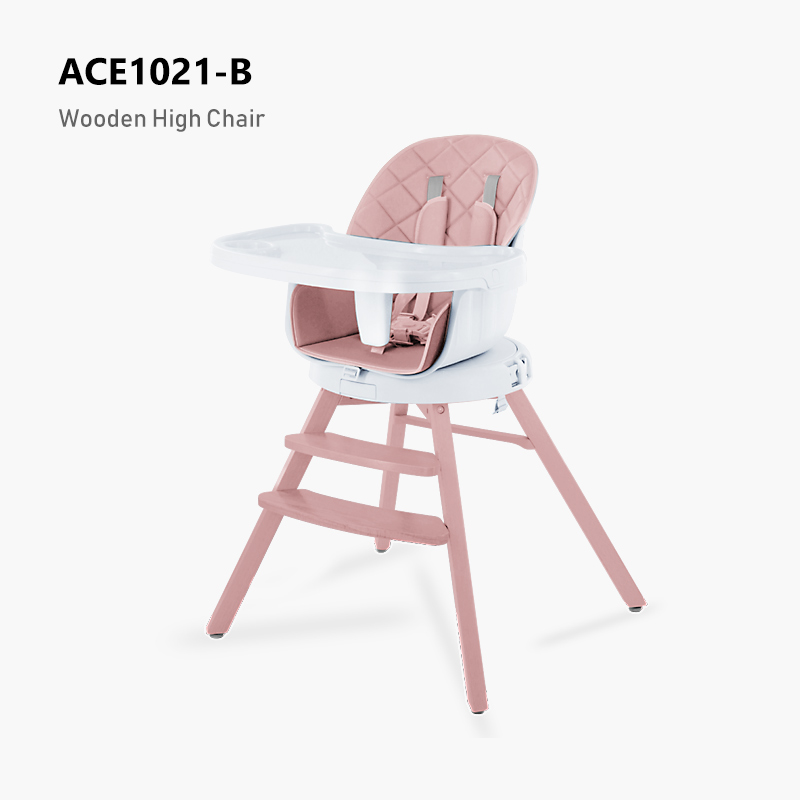 ACE1021-B