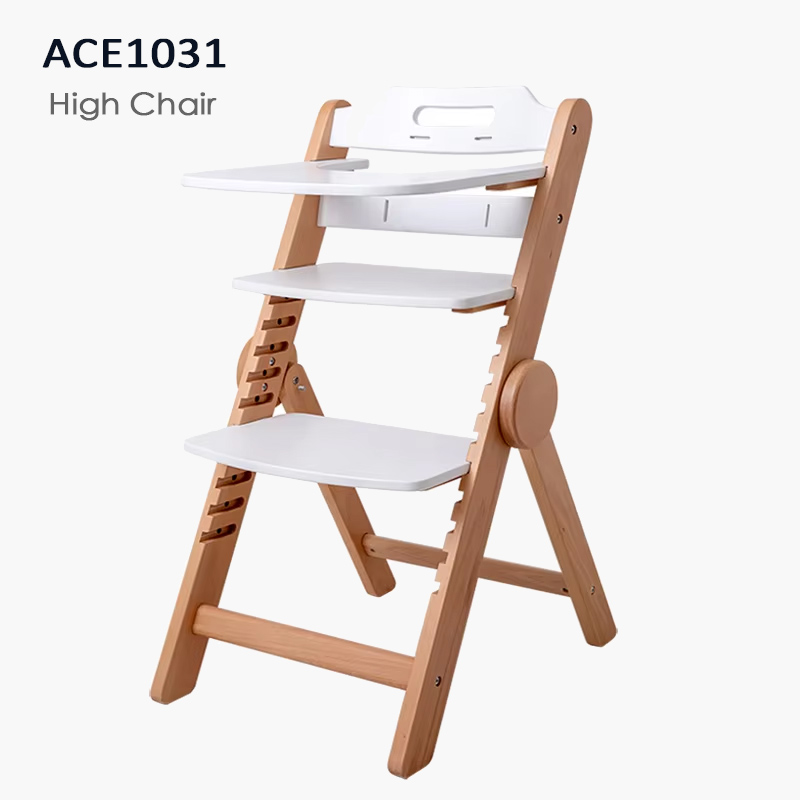 ACE1031